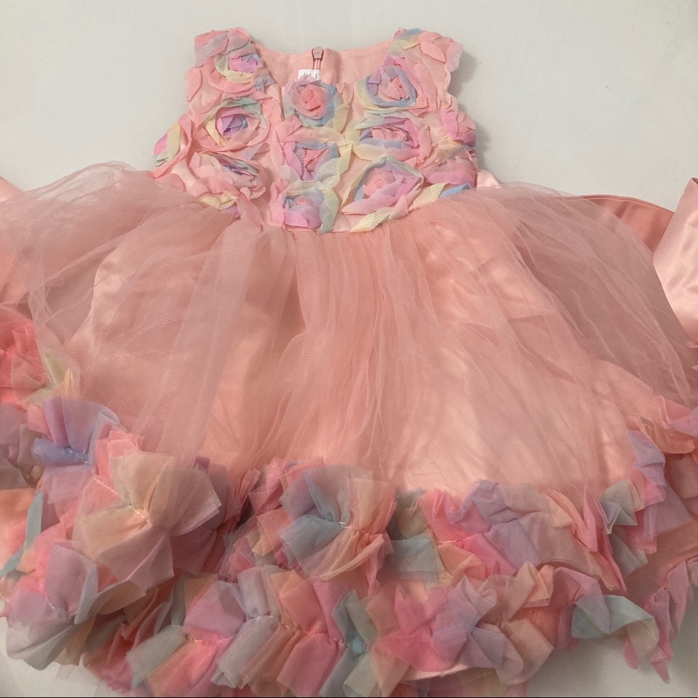 Luxury Embroidered Flower Girl Piano Dress Princess Birthday Wedding 5055 - Picture 11 of 16
